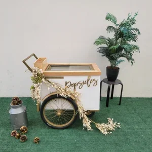 Standard Size Popsicle Cart with Sliding Glass Doors and Bicycle Tires