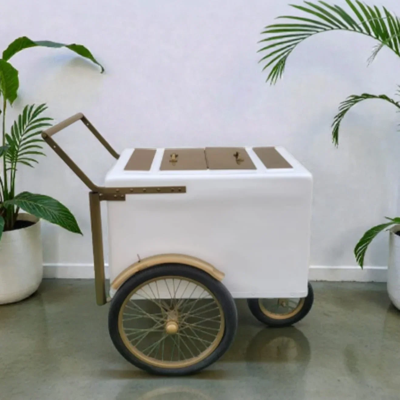 Tall Standard Size Popsicle Cart with Gold Trim and Bicycle Tires and 3 top openings
